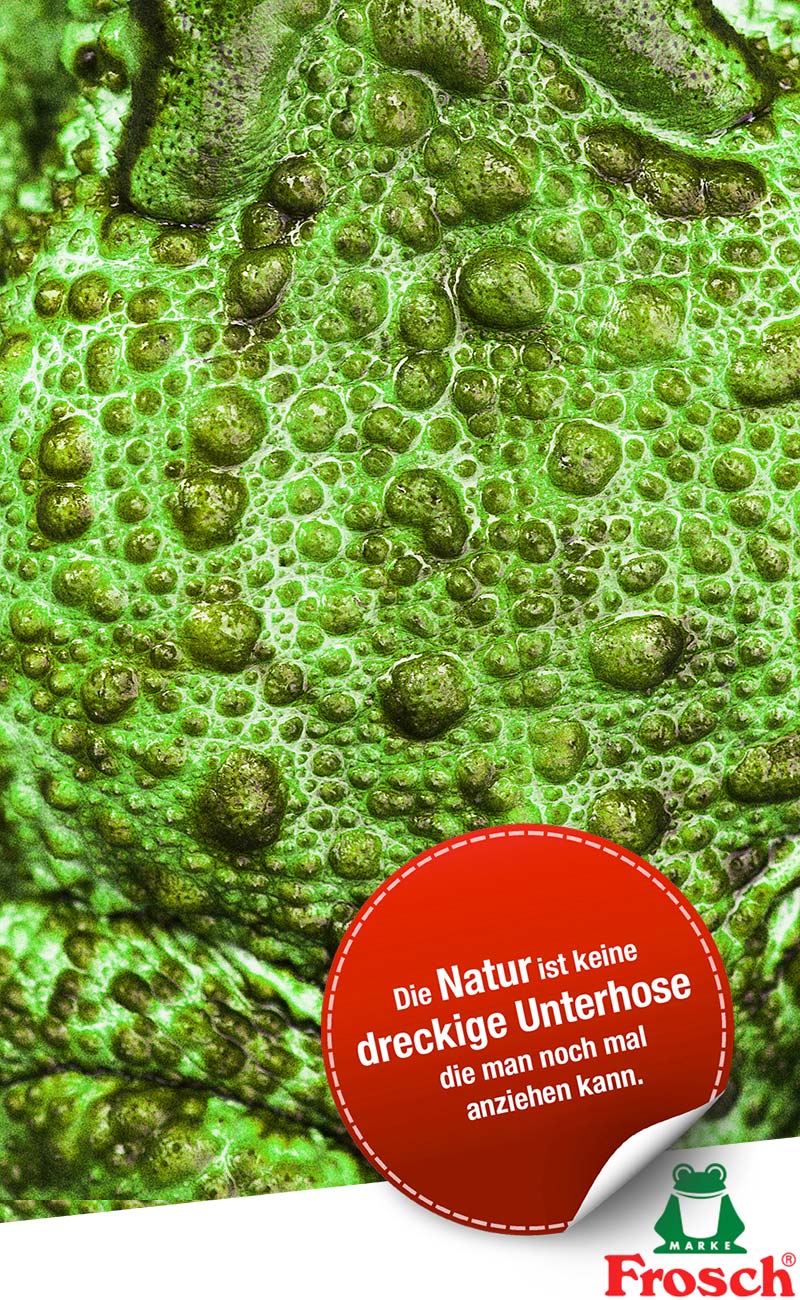 Eine Nahaufnahme einer grünen, holprigen Froschhaut mit Blasen, darüber ein rotes Vollblut-Etikett mit deutschem Text und dem Frosch-Reinigungsprodukt-Logo in der unteren rechten Ecke.